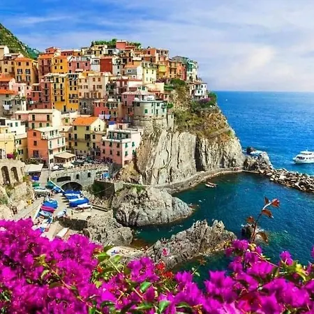 Mary And Olly's Vacation Bracelli